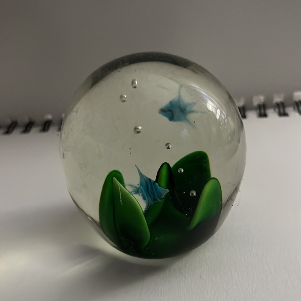 Cute paper weights🐠 - Picture 8 of 8